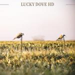 Lucky Duck Ultra Realistic Spinning Wing Dove Decoy