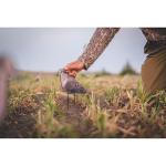 Avery GHG Mourning Dove Decoys 6-Pack