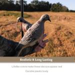 Lucky Duck Clip-On Dove Decoys, 4 Pack