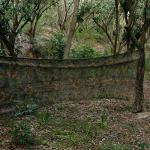 Camouflage Netting for Dove Hunting and Photography