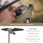 Lucky Duck Ultra Realistic Spinning Wing Dove Decoy