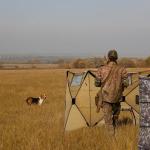 Hunthor 4-Panel Pop-Up Duck Blind Tent