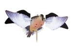 Avian-X PowerFlight Spinning Wing Dove Decoy