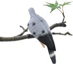 GUGULUZA 6-Pack Realistic Dove Decoys