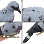 GUGULUZA 6-Pack Realistic Dove Decoys