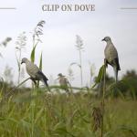 Lucky Duck Clip-On Dove Decoys, 4 Pack