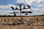 MOJO Outdoors Pole Dancer Decoy for Dove Hunting