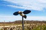 MOJO Outdoors Elite Dove Decoy with Spinning Wings