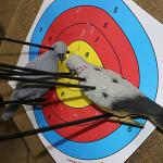 EVA Foam Dove Decoys for Slingshot Practice - 6 Pack