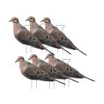 Avery GHG Mourning Dove Decoys 6-Pack