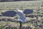 MOJO Outdoors Elite Dove Decoy with Spinning Wings