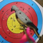 EVA Foam Dove Decoys for Slingshot Practice - 6 Pack