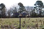 MOJO Outdoors Elite Dove Decoy with Spinning Wings