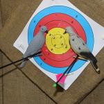 EVA Foam Dove Decoys for Slingshot Practice - 6 Pack