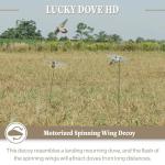 Lucky Duck Ultra Realistic Spinning Wing Dove Decoy