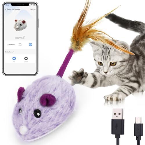 Best Pet Tech Gadgets
