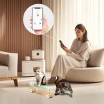 Bluetooth Remote Control Moving Mouse Cat Toy