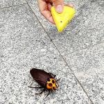 Tipmant Mini Remote Control Realistic Roach Toy