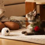 Interactive WiFi Cat Toy with 1080P Camera