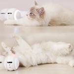 Interactive WiFi Cat Toy with 1080P Camera