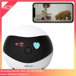 WiFi Cat Camera Toy with Remote App Control