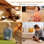 WiFi Cat Camera Toy with Remote App Control