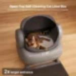 Smart Self-Cleaning Cat Litter Box with App