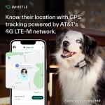 Whistle Switch GPS Dog Health and Fitness Tracker