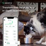 Whistle Switch GPS Dog Health and Fitness Tracker