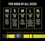 Fi Series 3 Smart Dog Collar GPS Tracker & Monitor