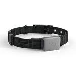 Whistle Switch GPS Dog Health and Fitness Tracker