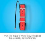 Garmin TT™ 15X Dog Tracking and Training Collar