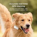 Petcube GPS Dog Tracker with Escape Alerts