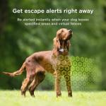 Petcube GPS Dog Tracker with Escape Alerts