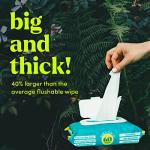 Flushable Butt Wipes with Vitamin E & Aloe