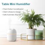 Compact USB Humidifier for Home and Travel