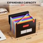 Soeez Portable Accordion File Organizer with 13 Pockets
