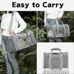 Collapsible Soft Pet Carrier for Travel, Gray