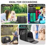 Soft Cat Carrier for Medium Cats and Puppies