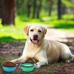 Collapsible Dog Bowls with Covers - 2 Pack