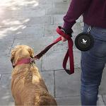 Travel Collapsible Dog Bowls - 2-Pack Portable Set