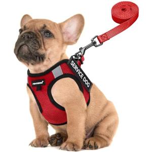 FAYOGOO Lightweight Harness with 6 Removable Patches