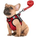FAYOGOO Lightweight Harness with 6 Removable Patches