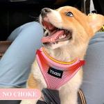 Reflective No-Pull Pet Harness and Leash Set