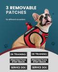 FAYOGOO Lightweight Harness with 6 Removable Patches
