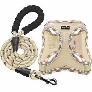 Adjustable Reflective Dog Harness and Leash Set