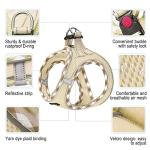 Adjustable Reflective Dog Harness and Leash Set
