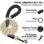 Adjustable Reflective Dog Harness and Leash Set