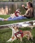 FAYOGOO Lightweight Harness with 6 Removable Patches