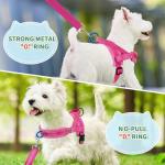SlowTon Reflective Adjustable Dog Harness and Leash Set